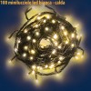 Natale - Luci natalizie 100 minilucciole led bianco calda